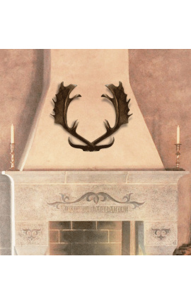 True horn antler from deer for wall decoration