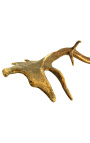 True horn antler from deer for wall decoration