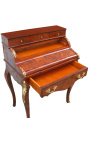 Louis XV Tajomník štýlu Styl-Top s 7 zásuvkami a Marquetrom - 12