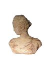 Terracotta female bust