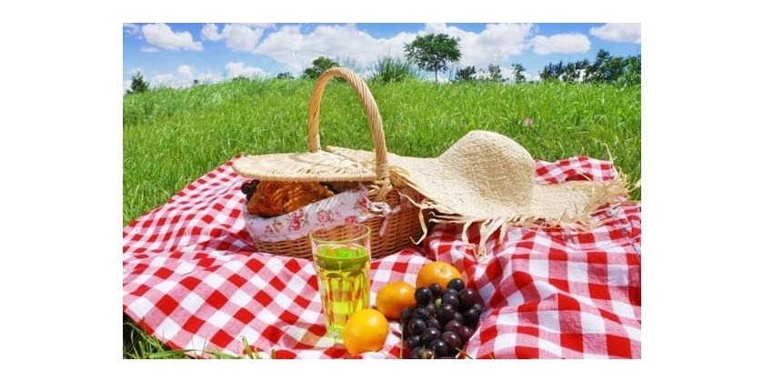 Fantastico, faremo un picnic!