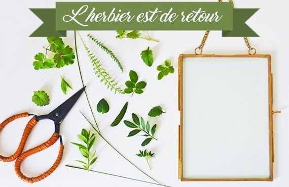 Avis aux nostalgiques, l’herbier est de retour !