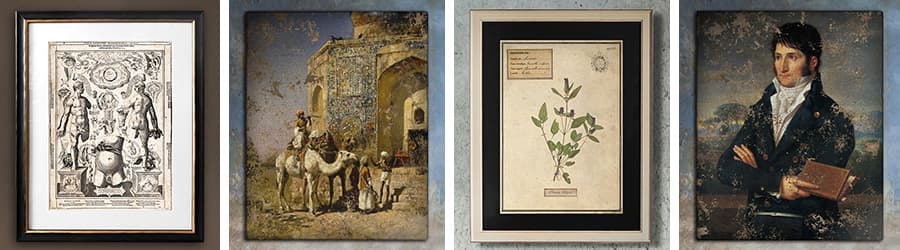 Picturi, gravuri și herbarii