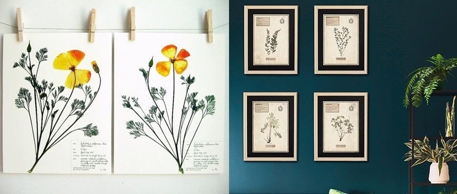 the return of the herbarium in vintage version