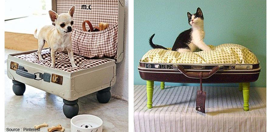 bed for cats and dogs