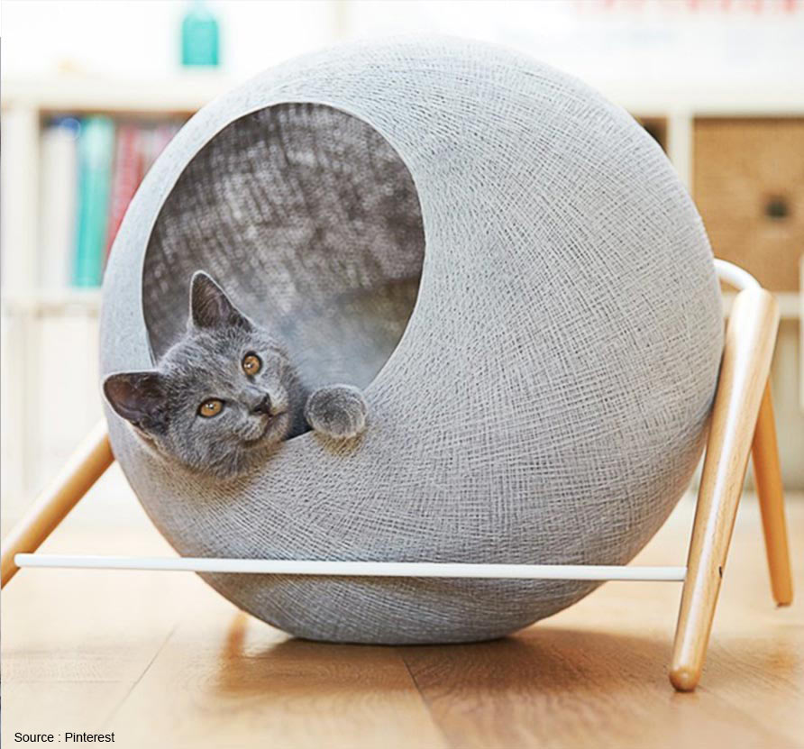 cat bed