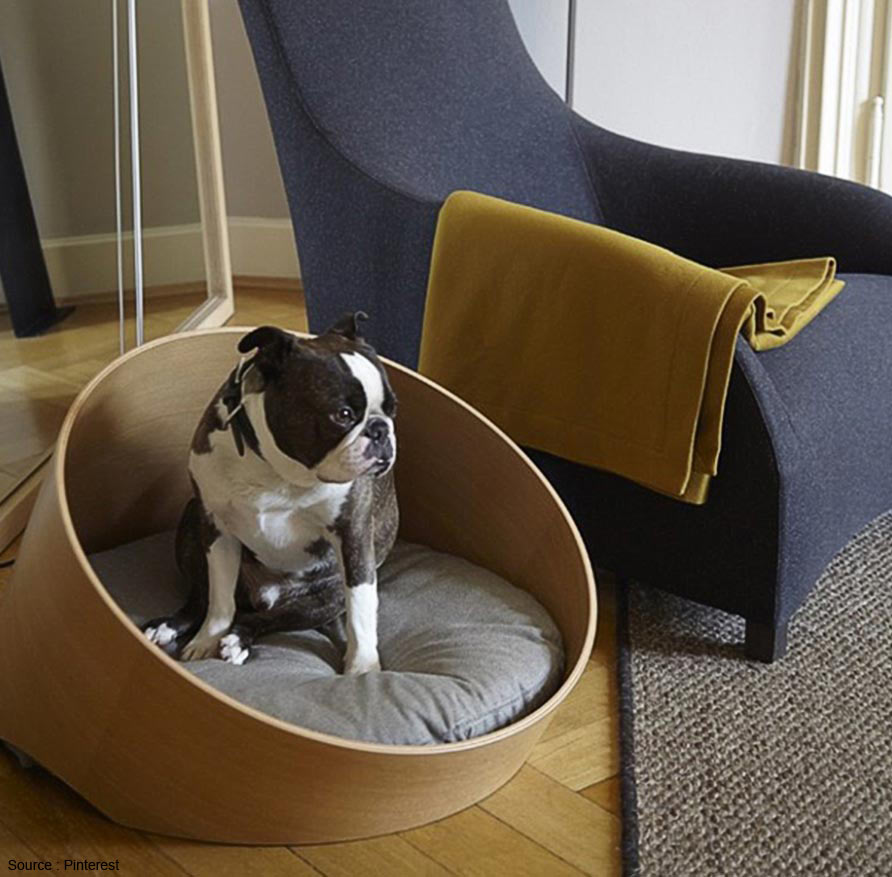 sofa for dogs