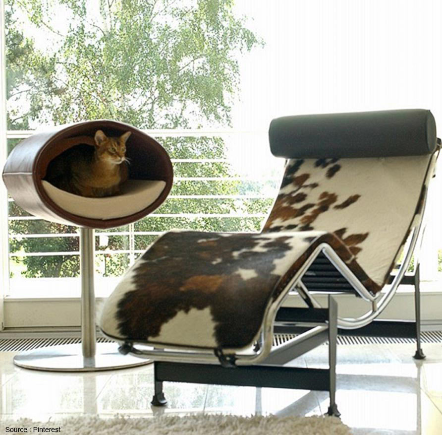 design cat bed