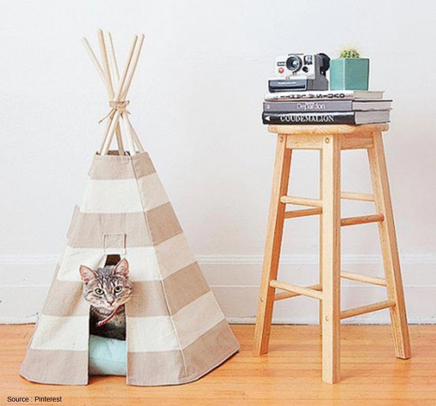 tipi pour chat