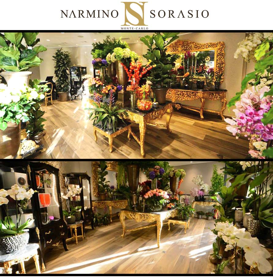 Narmino sorasio mobilier Royal Art Palace